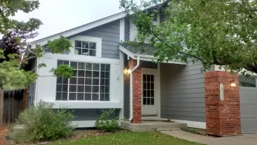 Darlene Kay Painting Project