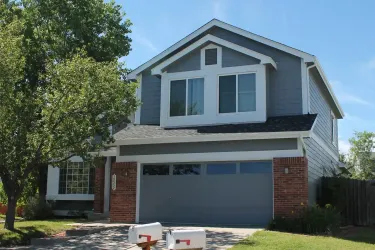 Darlene Kay Painting Project